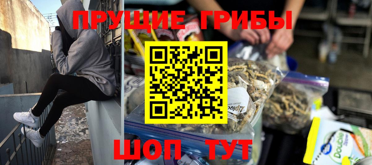 Псилоцибиновые грибы Psilocybe  Псилоцибиновые грибы мицелий  Малоярославец  Вход с VPN 